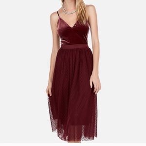 Black Express Velvet Tulle Dress